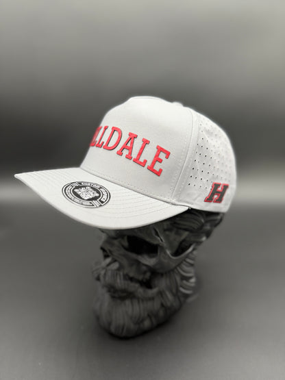 Hilldale 3D Mascot Cap